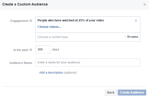 Facebook video viewer custom audiences