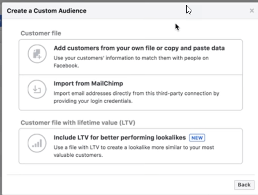 custom facebook audience from an email list or customer file