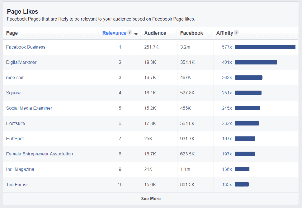 Facebook audience insights page likes