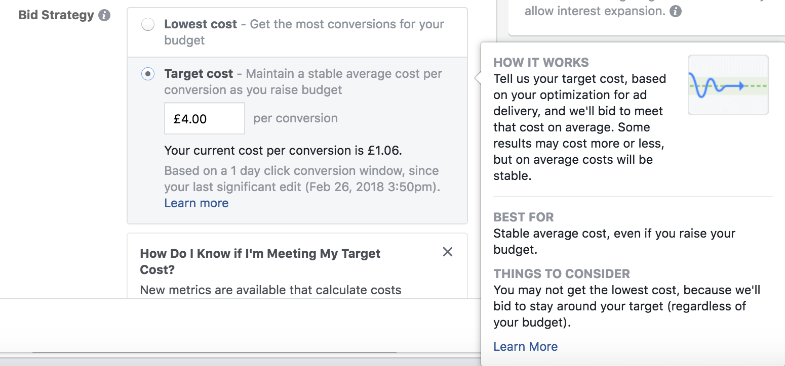 target cost facebook ad bidding
