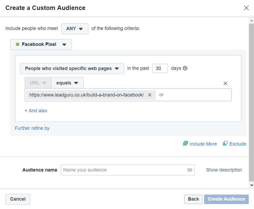 custom audience url equals example